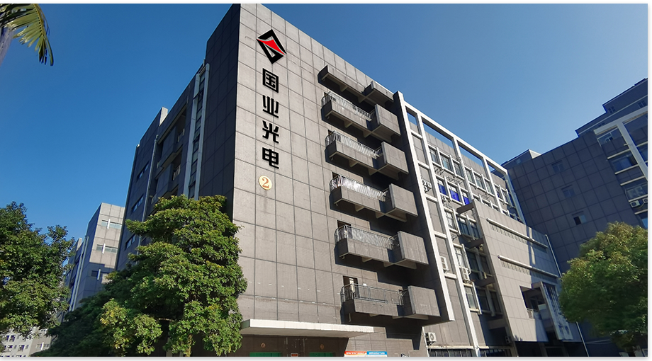 Shenzhen Guoye Optoelectronics 2024 연말 말 요약